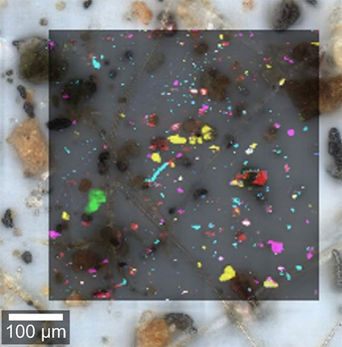 Microplastic particles in an environmental sample. Overlay of the Raman and Brightfield image.