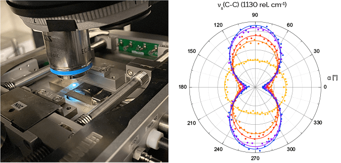 In-situr Raman Measurement within Polymer Stretching