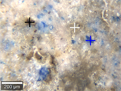 alphaCART Measurement of Roman Fresco - BF image