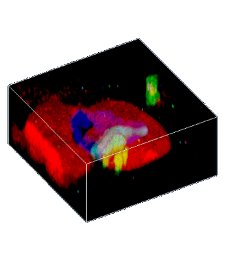 WITec 3DRaman FluidInclusion