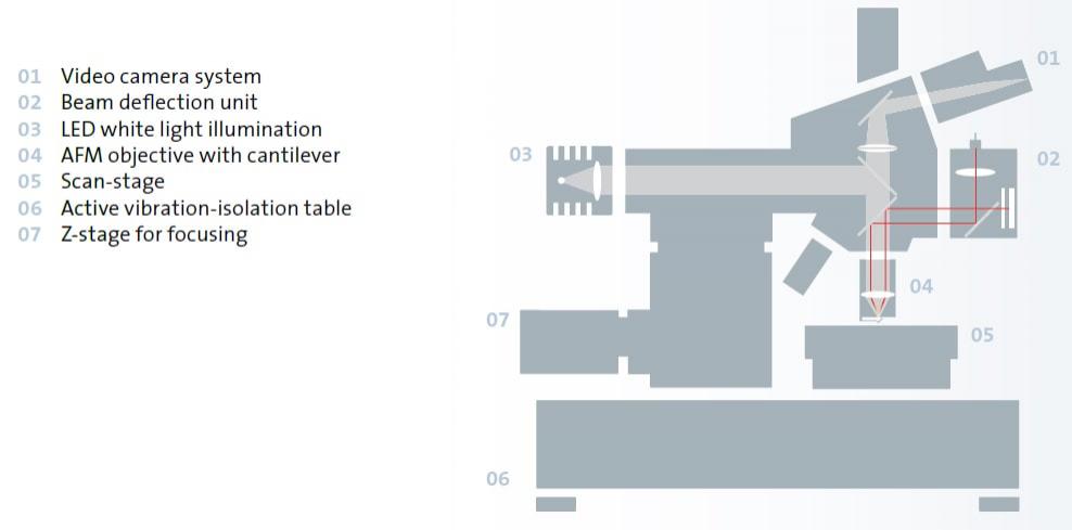 WITec AFM Beam Path