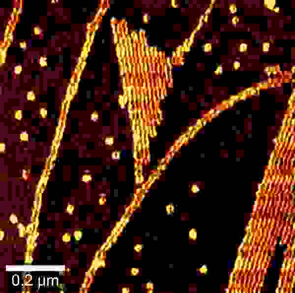 AFM phase image of long chain polymer molecules.