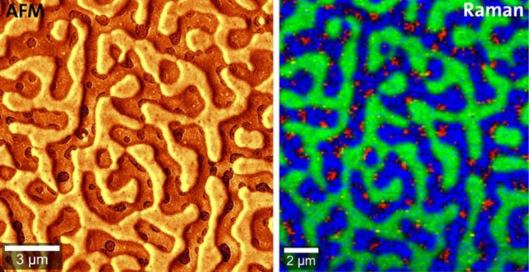 WITec Correlative Raman AFM Polymer Blend