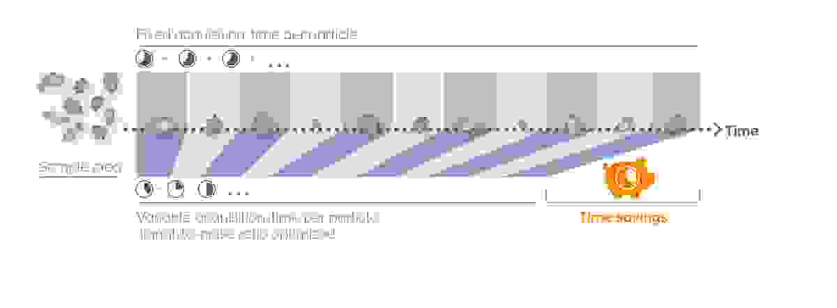 WITec ParticleScout timesaving