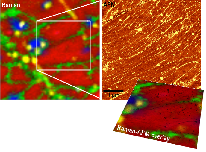 Raman and AFM image of the same sample area on a wrinkled CVD graphene layer.