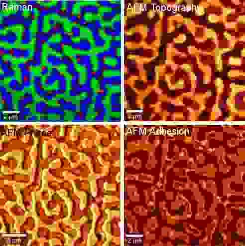 Raman AFM images of a polymer blend (same sample area).