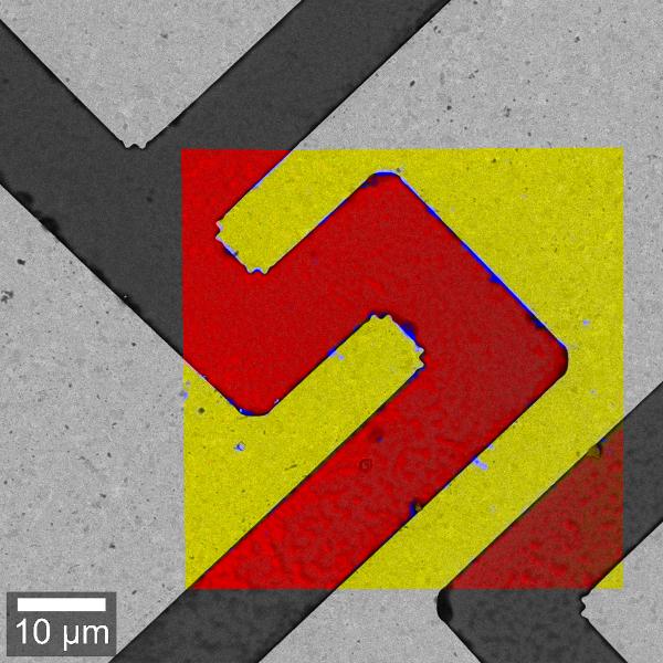 LT GaAs 样品的 RISE 显微镜（拉曼-SEM）。拉曼图像叠加在 SEM 图像上。拉曼图像：黄色：金基底；红色：GaAs。