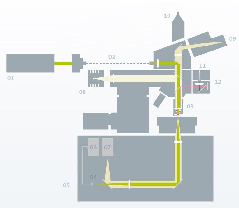 WITec SNOM Beam Path