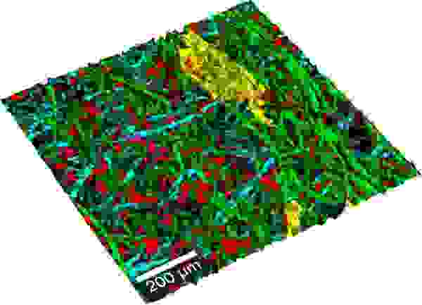 WITec TrueSurface Paper Surface Topography Chemistry