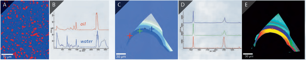 WITec application example