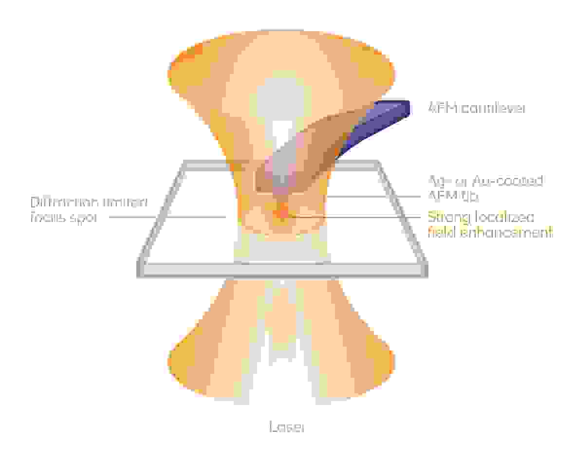 TERS principle