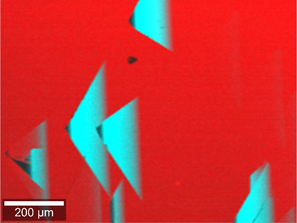 Wafer Defects - Raman Image
