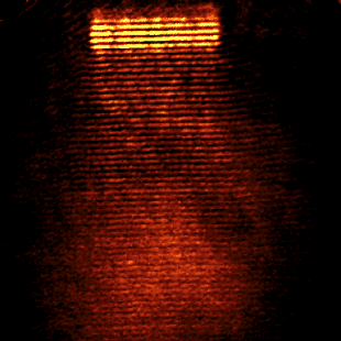 alpha300S surface plasmon