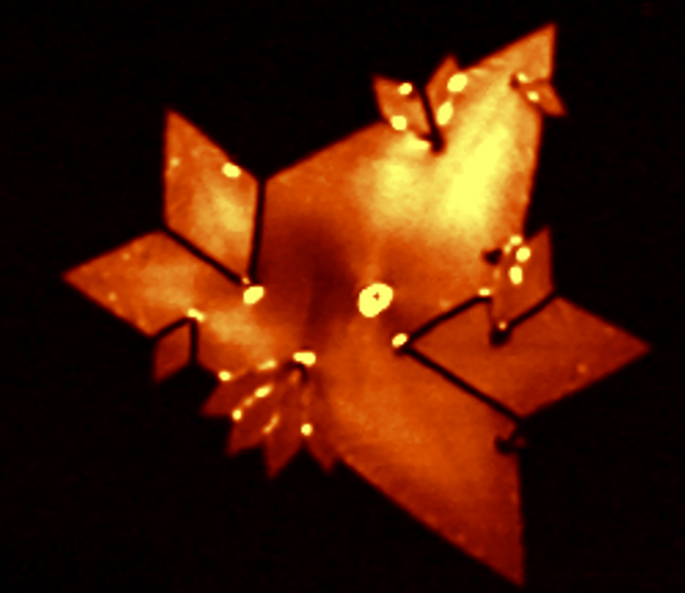 SHG image of MoS2 flake